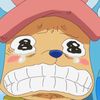 hashibi_
