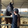 nogaperetz4
