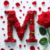 user6221994096292