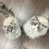 meomup22