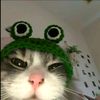 latifah100528