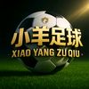 小羊足球