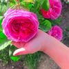 kazim_afghan