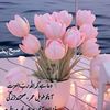 monid.bukhari.302
