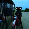 zrx_vechno