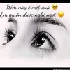 khng.c.tn0314