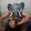 gajah_abo77