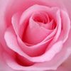 arun.kumar.yadav841