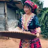 Nguyễn Yến (lợn 🐷)