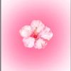user1390530501818