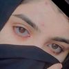 shaestarabio804