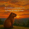 coclesano090