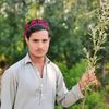 salmankhaan033