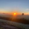 minke_de_vries
