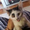 vayeya..__