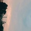 shiwanighimire31