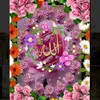 user8196858560302