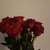 hadjer.la8