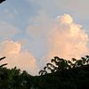 fauzia_cia21_