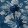 kamiizabelle_0x