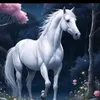 user1992447061220