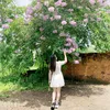 bbu_1986