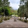 elviralopez8713