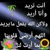 am.yusef44