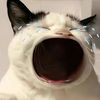 we_nnnnnn