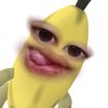 cariapa_m0nyet_
