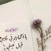 amirtaani8