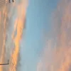 nene._831
