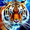 tigres331