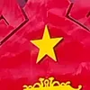 hongcargill