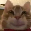 adrcancut