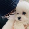 jungwoo.c