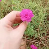 user350623407
