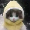 captainbananasyum