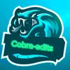 cobra_madethis1