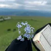 mvif_7
