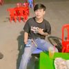 zd09t