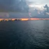 rudoniszn