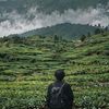 anupkatwal012