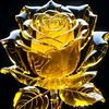 user747530312279