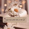 hanen.tarek56