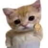 alien_cat93