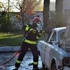 sergeystepanchuk12