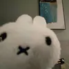 kornelijiaa