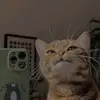 m9s3n8asuh