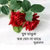 muhamedasad03